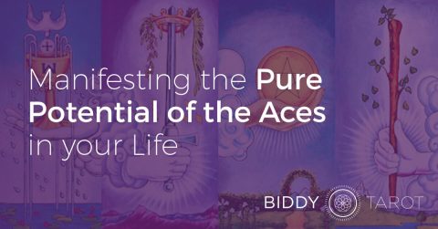 Blog-20141015-Aces-in-Your-Life