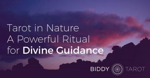 Tarot in Nature: A Powerful Ritual for Divine Guidance