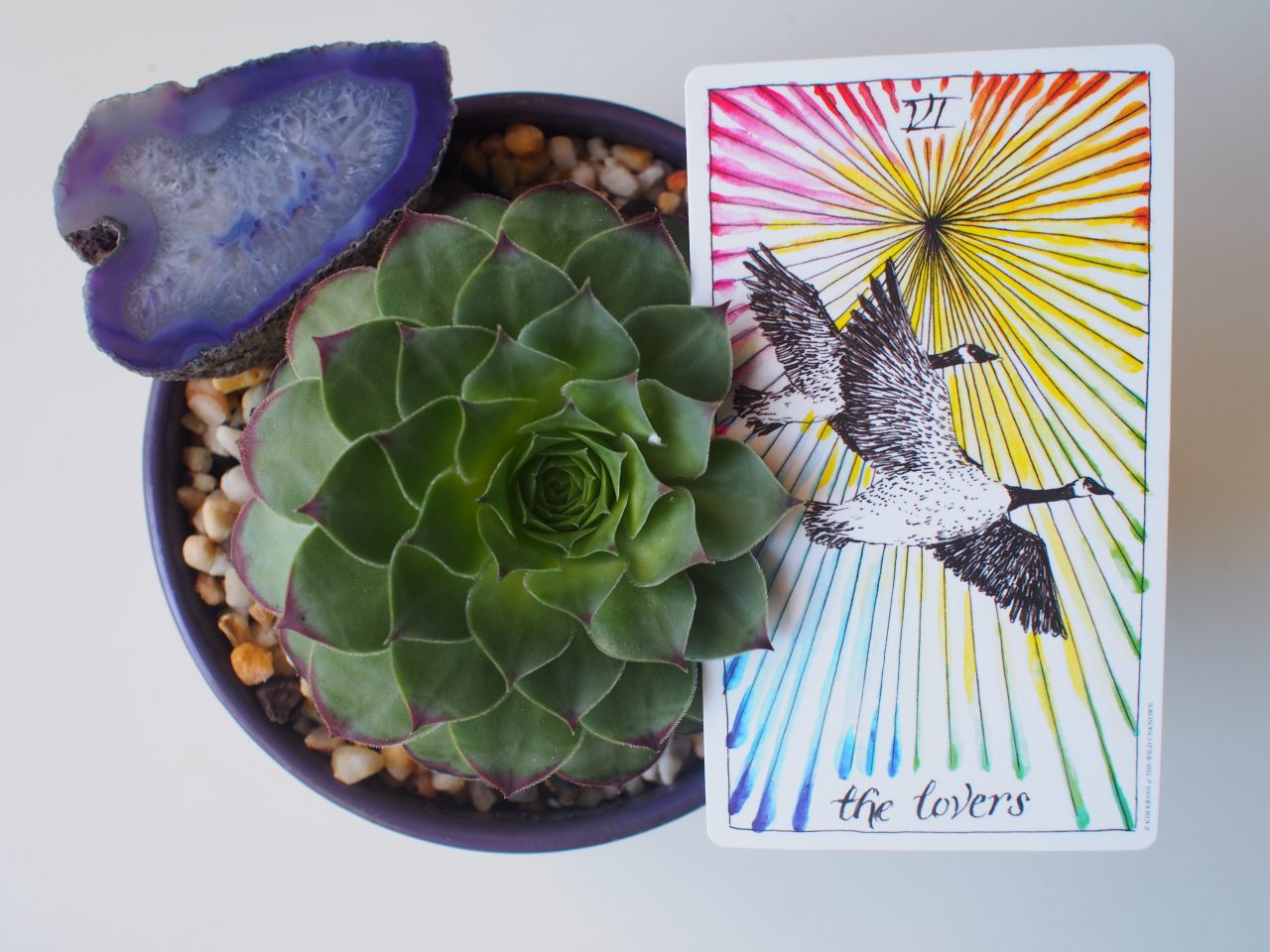 Tarot for Skeptics